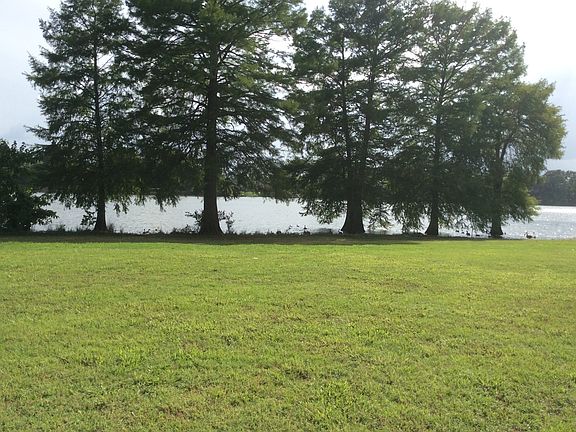 2nd image of 11046 Plantation Lake Dr
