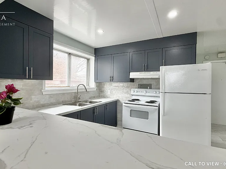 301 Cordova Rd #1 — Photo 4