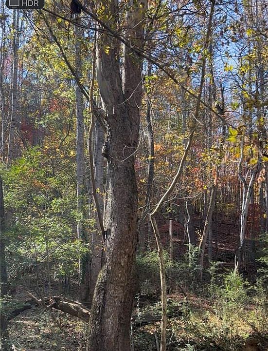 2nd image of 0 Snuggs Park Rd