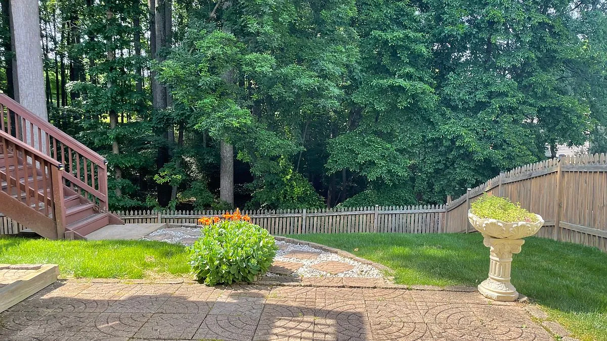 2 bed, 1.0 bath, 920 sqft, $1,700 — Photo 4