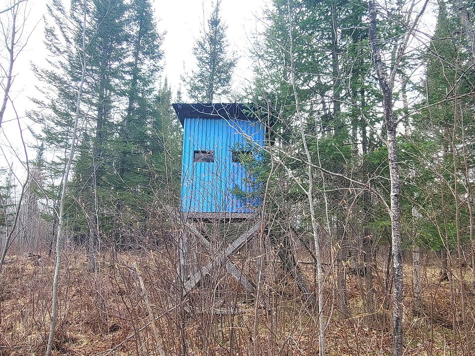 1st image of Elderwood Rd #80ACRES