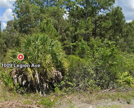 5th image of 1009 Legion Ave