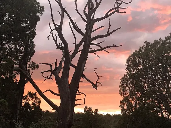 38370 Bullock Rd, Ash Fork, AZ 86320