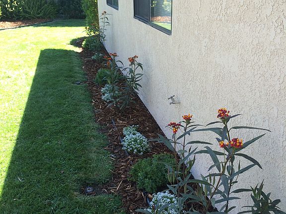 5th image of 231 Alyssum Cir