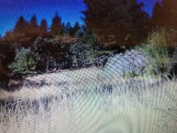 33803 Shaver Springs Rd, Auberry, CA 93602