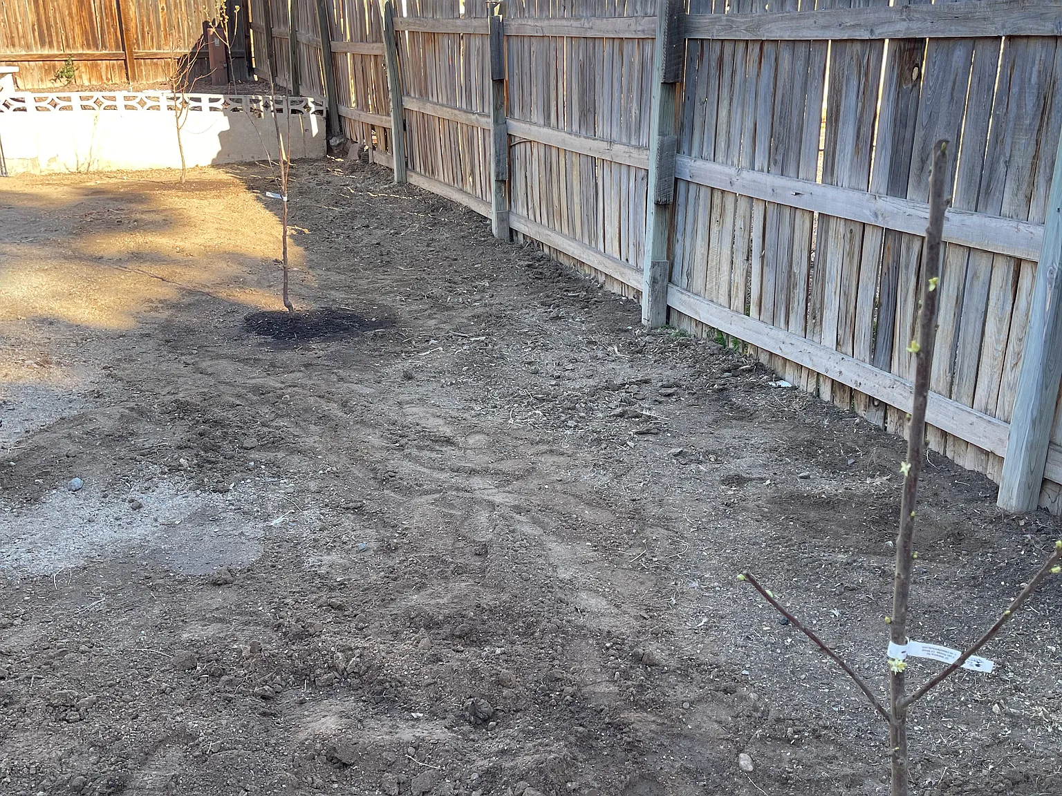 4 bed, 2000 sqft, $2,300 — Photo 3