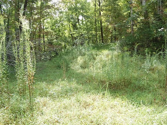 2nd image of Redbud Valley Dr