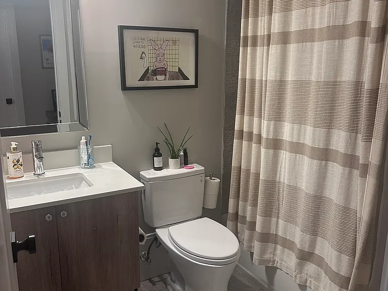 Guest BR Bathroom (not shared)