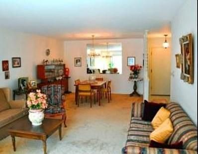 4th image of 9529 Bronx Ave APT 215