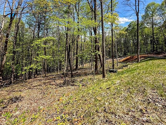 3rd image of TBD Maple Leaf Road
