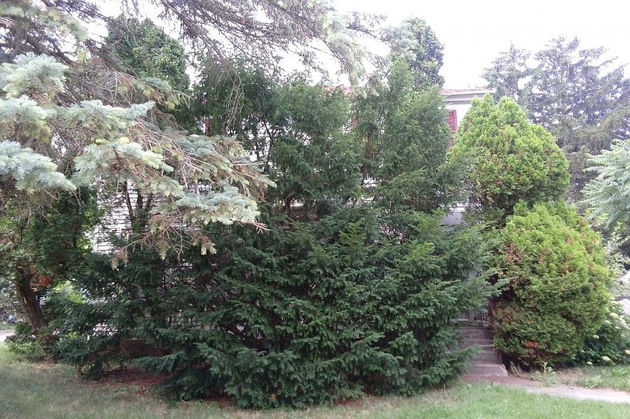 1st image of 1447 Colorado Ave SE