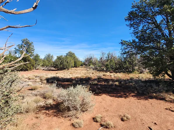 2089 S Poppy Ln, Williams, AZ 86046