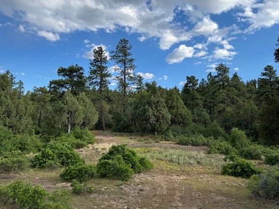 5th image of Log Ridge Trl