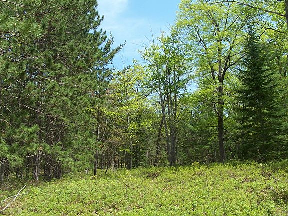 5th image of Healy Hardwoods Rd