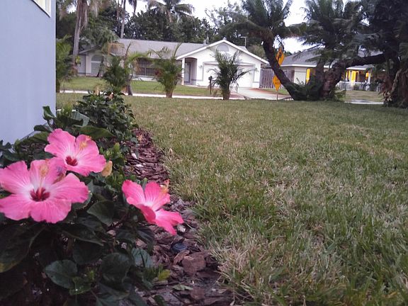 New Landscaping
