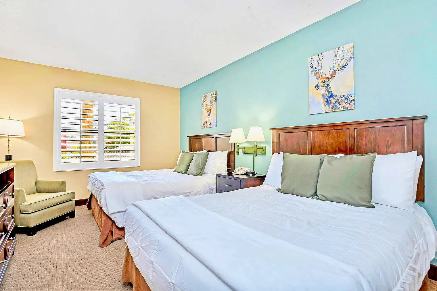 1 bed, 1.0 bath, 538 sqft, $1,659 — Photo 4