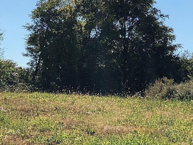2nd image of 1079 Sprucehill Ln