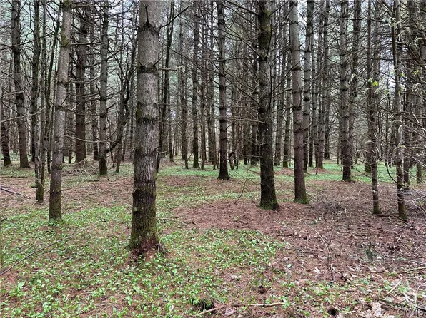 0 Route 8 Est #3, Cold Brook, NY 13324