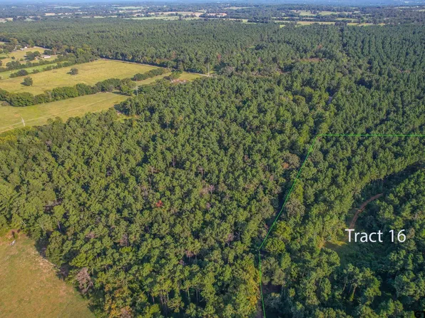TRACT 16 County Road 4224, Frankston, TX 75763