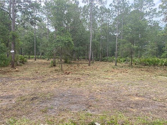 2nd image of 0 Patricia Ct