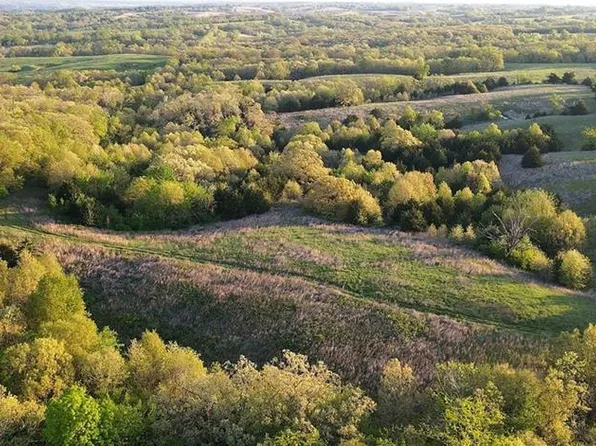 42622 Highway E, Harris, MO 64645
