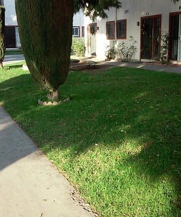 Courtyard in front of condo unit.