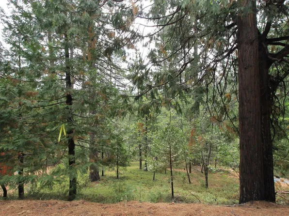 1647 Gertrude Way, Arnold, CA 95223