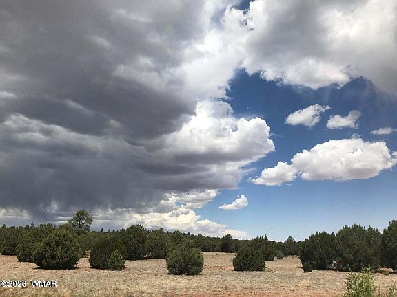 5th image of 4689 Highway 260