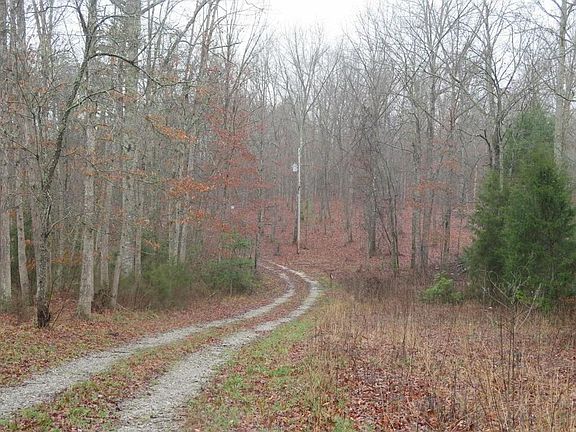 4th image of Burk Dr