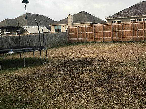 Backyard 1