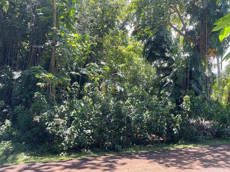 1st image of Namohala St Lot 85