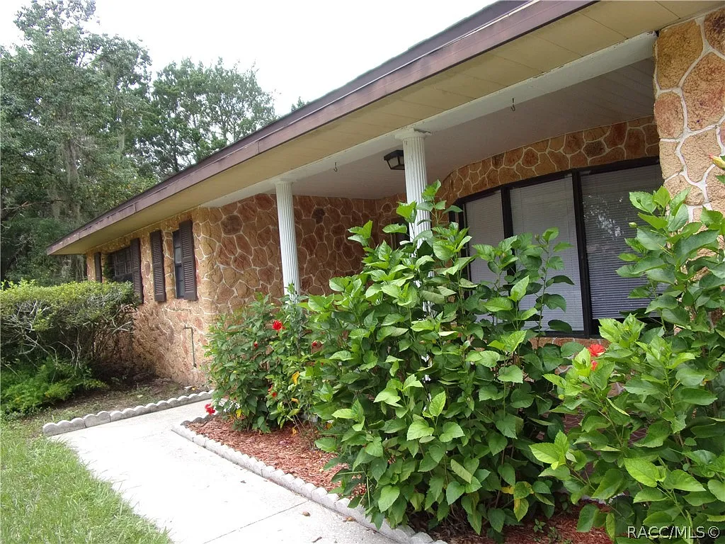 Oak Forest — Photo 3