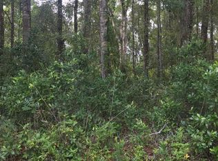 134 Georgetown Point Rd, Georgetown, FL 32139