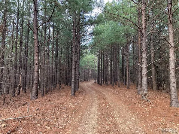 219 Madison St #410, Fredericktown, MO 63645