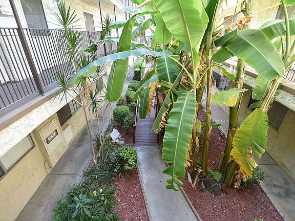 2nd image of 21018 Gresham St APT 202
