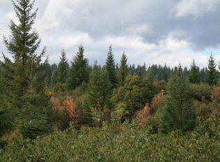 0 Highway 126, McKenzie Bridge, OR 97413