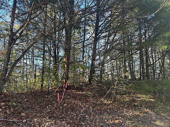 4th image of 0 Mount Carmel Rd