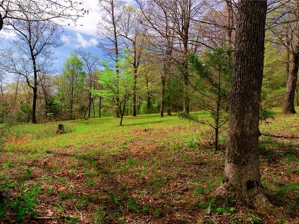 14240 Truelove Rd, West Fork, AR 72774