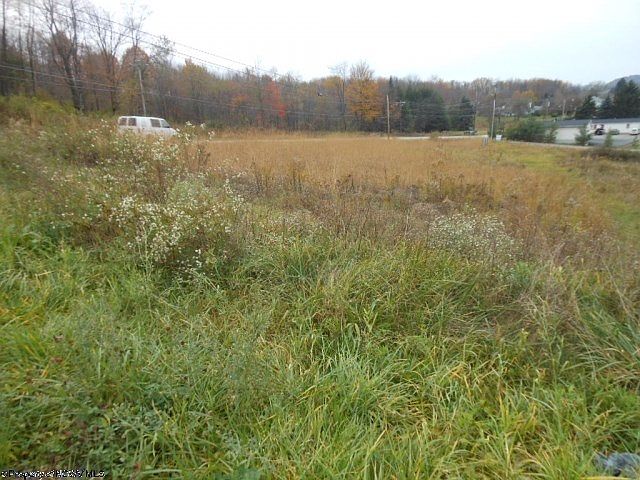 2nd image of 8 Brandonville Hts