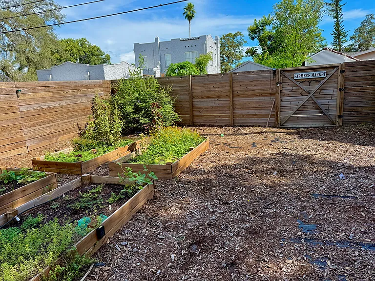 Big backyard and dog friendly!