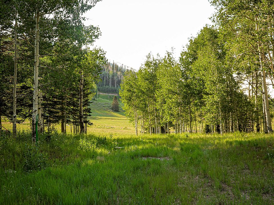 1st image of 267 White Pine Canyon Rd Lot 267