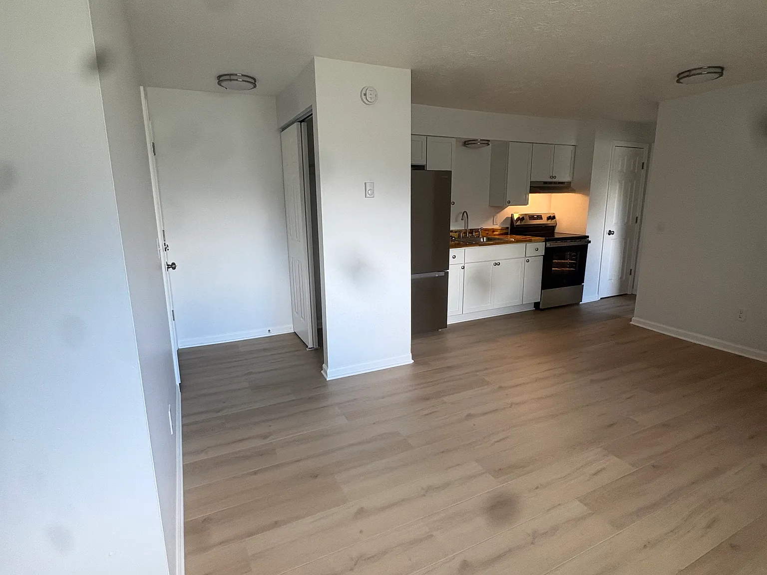 1 bed, $850 — Photo 2
