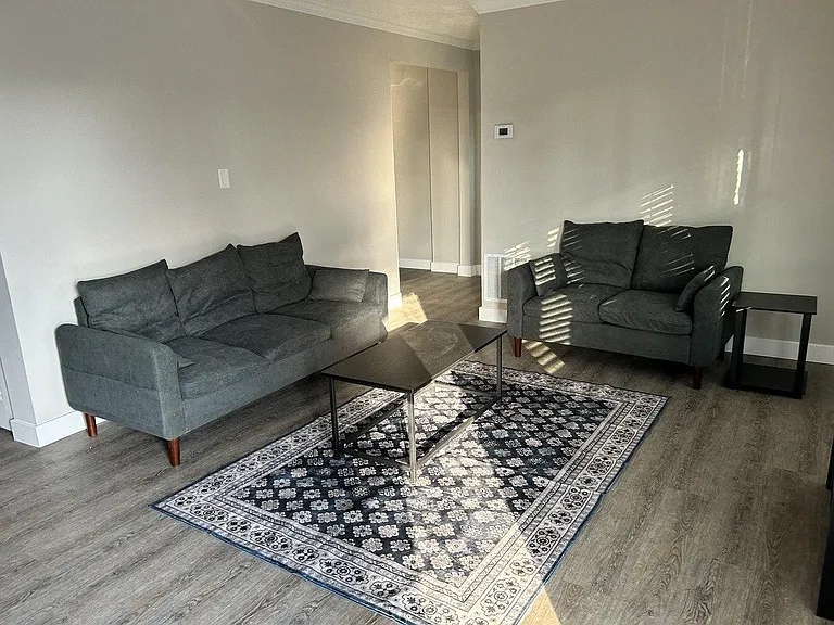 Comfortable living room with two sofas, coffee table, and area rug, plus durable wood-look flooring and neutral walls.