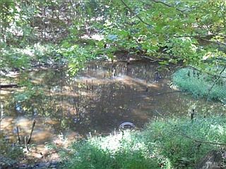 5th image of 349 Crystal Forest Dr