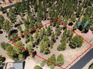 2458 Pinon Cir, HAPPY JACK, AZ 86024