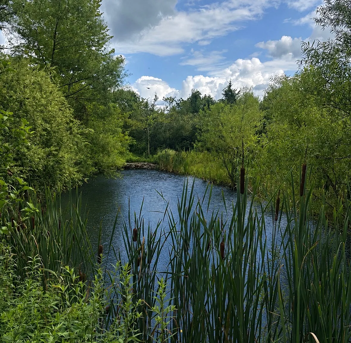 Creekside Dr, New Hope — Photo 4