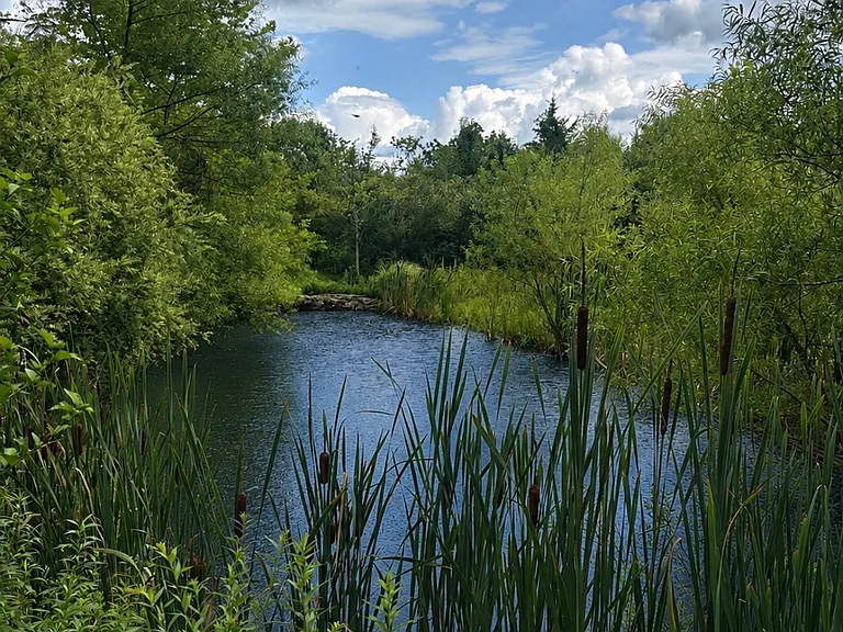 Creekside Dr — Photo 4