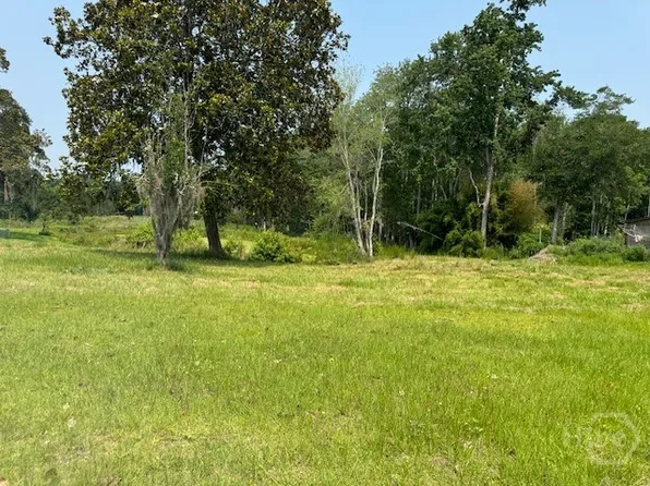 0 US HWY 17 Highway, Townsend, GA 31331