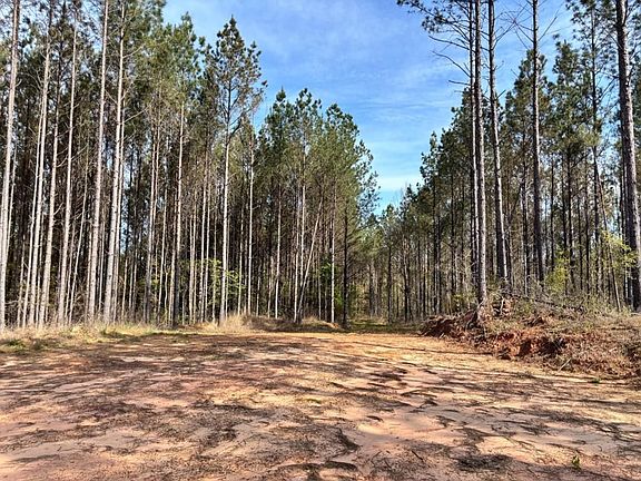 4th image of 0 County Road 142