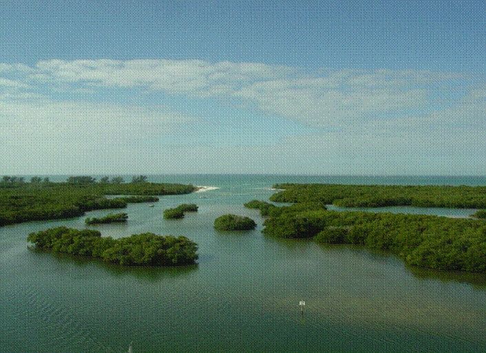 2nd image of 410 Dockside Dr Slip N-79